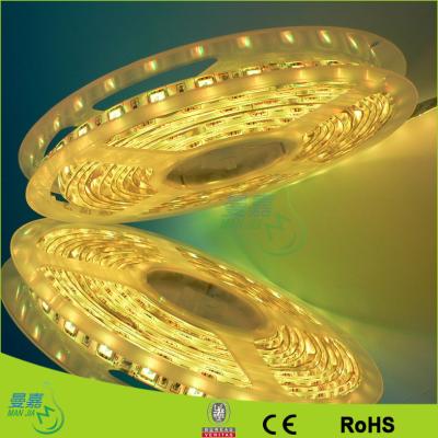 China Energy Saving 5050 Led Waterproof Led Rope Lights For Home for sale