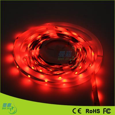 China 2900k - 3200k Warm White 3528 Led Rope Lights For Outdoor Decoration for sale