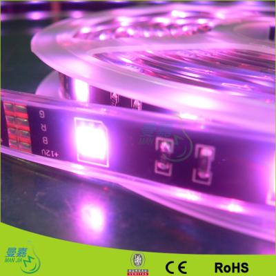 China 5050 Waterproof Flexible Led Light Strip for sale