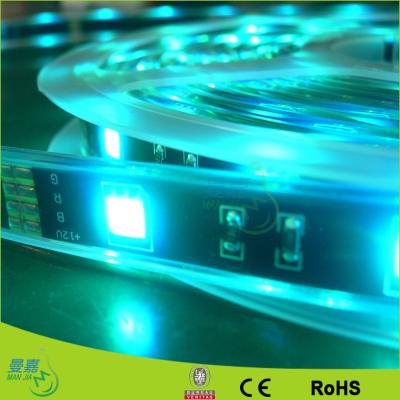 China Blue 240V Flexible Led Strip Lights / 3528 Cold White 5500k - 6500k Led Rope Lights for sale