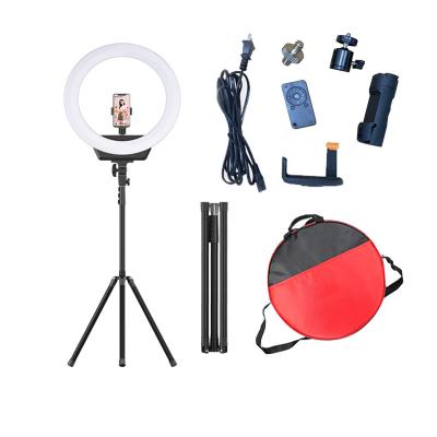 China Affordable RK-55 LED Selfie Ring Light Phone Holder & Ring Light Factory Direct Sale With Premium Quality 53*50*10cm for sale