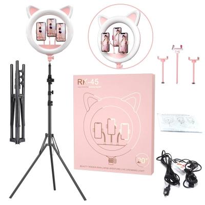 China Portable Flexible Pink RK45 Cat Shape 18inch Ring Fill Light Photography Studio Selfie Led Makeup Led Ring Light With Tripod Stand For YouTube Ins for sale