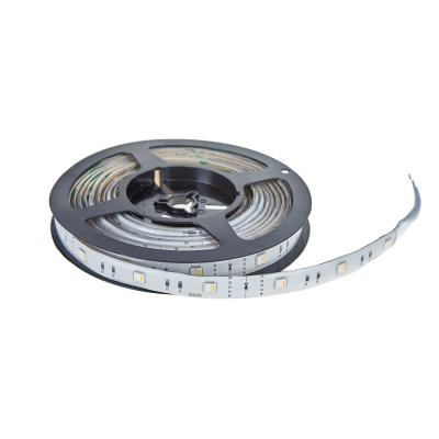 China 2021 Hot Sale Decoration IP65 SMD 5050 60LED Per Meter Flexible Led Strip Light for sale