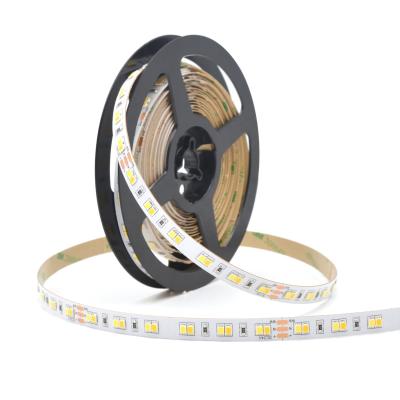 China Landscape 3000K 6000K IP20 Variable 12/24V 10mmPCB 120LED TDC LED Strip Dual Color 2835 LED Strip for sale