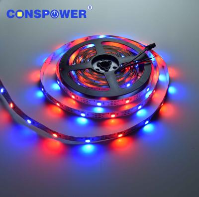 China Magic Landscape LED Strip 30LEDS/M Bulit-in IC SK6812 WS2812B 5050RGB LED Strip IP20 5V 10mmPCB for sale