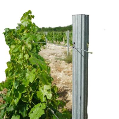 China Cheap Price Easily Assembled Electric Galvanized Steel Grape Gable Trellis Post Garden Vineyard T Open Post for sale