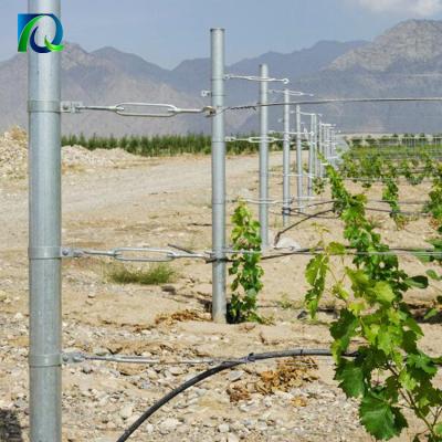 China Easily Assembled 2.0-2.8m Grape Post Cheap Galvanized Steel Metal Vineyard Trellis Pole for sale