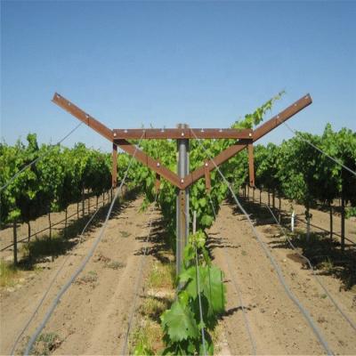 China Durable Steel Hardware Easily Assembled Open Gable Trellis System/Table Grape Trellis Custom Length for sale