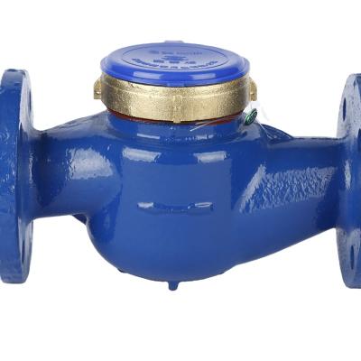 China 320/160 Brass Gauge Rotary Vane Cold Rotary Vane Mechanical Water Meter With High Quality for sale