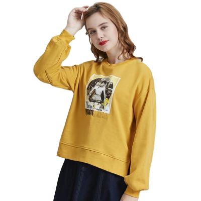 China Breathable Fashionable Comfortable Solid Soft 100% Cotton Sweaters For Women for sale