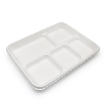 China water repellent & Oil-Repellent Rectangular 5 - Compartment Tray Disposable And Compostable Dinnerware Sets Biodegradable Food Packaging Bagasse Bamboo Pulp for sale