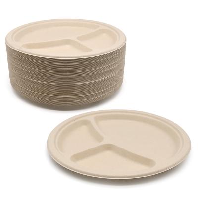 China water repellent & Disposable Oil-Repellent Biodegradable Sugarcane Paper 10 Inch 3 Compartment Dish for sale