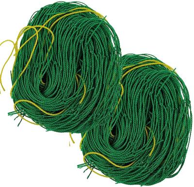 China High Price New Pe Factory Supply Garden Netting Nylon Garden Nets for sale