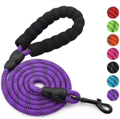 China Custom Nylon Woven Dog Leash Strong and Durable Customizable for sale