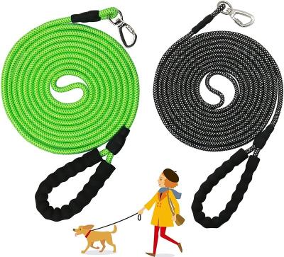 China Personalized Small and Medium Dog Walking Leash, Prevent Accidents to Protect Dog Rope for sale