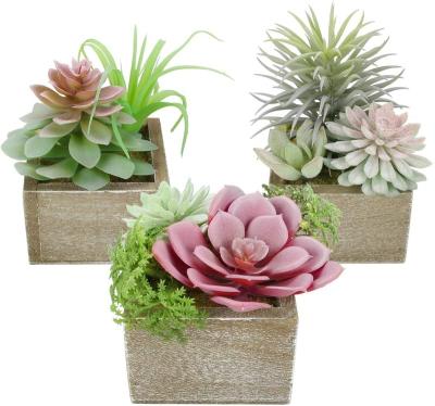 China Europe Rustic Set Balcony Plant Flower Box Mini Pots Decor 3 Maceta De Madera Small For Home Office Living Room Table Office for sale