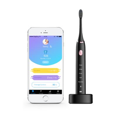 China Shenzhen Factory OEM Custom 1741-08 Battery Operated Waterproof Sonic Vibrator Electric Toothbrush for sale