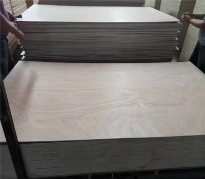 China Cheap modern plywood 18mm plywood 18mm furniture grade bintangor okoume veneer plywood for sale