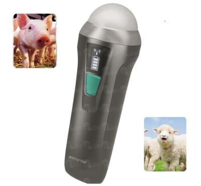 China Suitable for OB MC100vet powerful veterinary software wireless type mechanical sector probe for pig and sheep pregnancy diagnosis for sale