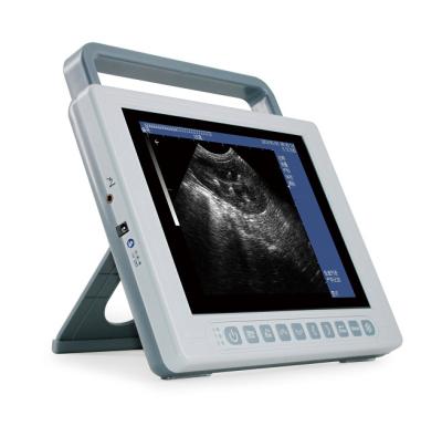 China Ultrasound Scanner Compact Size Lightweight Handheld Pad Tablet Veterinary Mobile Scan Pad MC100 MC100 for sale