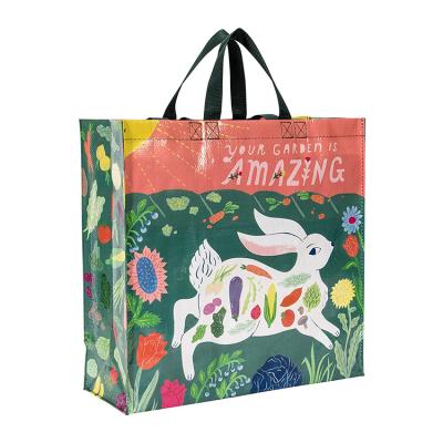 China New Style Eco-Friendly Wholesale High Quality Custom Printed Foldable PP Woven Shopping Eco Friendly Reusable Packaging Bag for sale