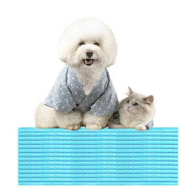 China 2021 Stocked RTS Mat Indoor Pet Training Mat Private Label Pet Pee Pad Doggy Training Pe Film and Puppy Pet Pad with Small Size for sale