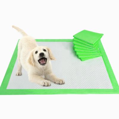 China Factory Direct Stocked Pee Pads Dog 6Layer Pee Pad Pet Training Puppy Urine Protection With Scent for sale