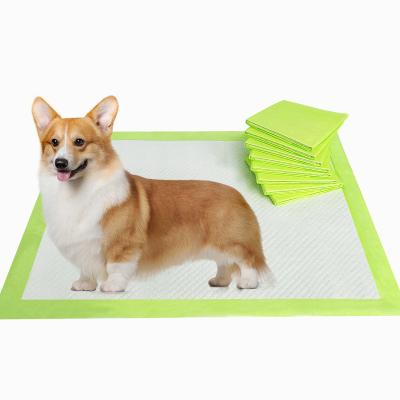 China OEM Design Unique Absorbent Dog Pad Puppy Stocked Disposable Pee Training Pet Pad With Scent for sale