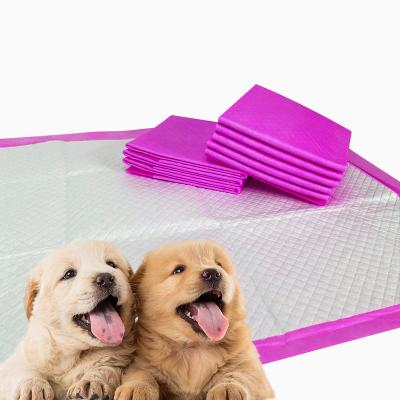 China Manufacturer Disposable Training Direct Factory Stocked Wholesale Under Pad 60 x 60 Dog Puppy Potty Pads With Scent for sale