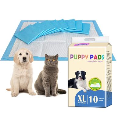 China Wholesale Stocked Dog Puppy Diapers Pet Hygiene Health Care Pee Training Pads Clean Mat Protective Pet Disposable for sale