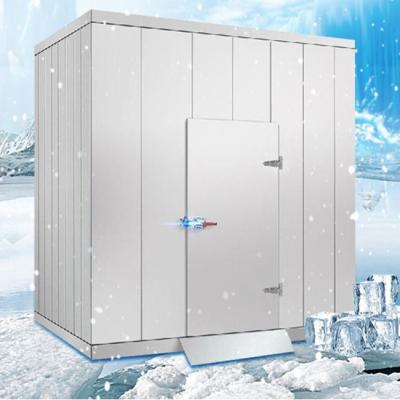 China food & Beverage Plant Portable Walk-In Freezer Cold Room Makers With Compressor Unit Door Hinges Lighting For Meat Fish for sale