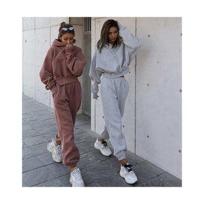 China Anti-pilling 2 Piece Autumn Winter Jumpers Gym Jogger Workout Hoodie Set Sweatshirt Women's Hoodie for sale