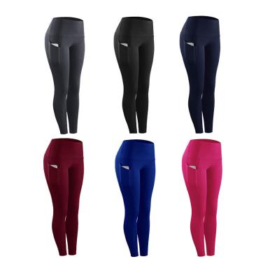 China Newest Style Six Colors High Waist Breathable Leggings Antibacterial External Wear Tight Leggings Women for sale