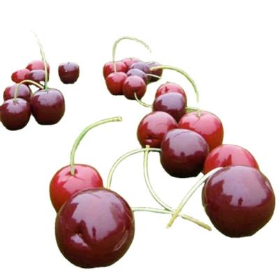 China Red Resin Cherry Custom Garden Grass Decoration Europe Park Statue for sale