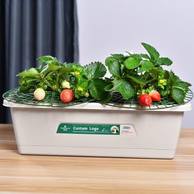 China Best Selling Modern Durable Planter Fruit Bottle Pot Balcony Planter Thick Vegetable Decorative Outdoor Resin Pots Durable Plant Flowerpot for sale