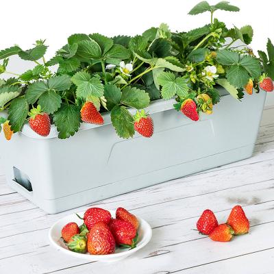 China Modern wholesale plant pots pp decorative outdoor resin planter durable thick fruit vegetable bottle flower pot for sale