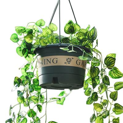 China Garden Tools Gallon Decoration Modern Cheap Medium Durable Outdoor Flowerpot Light Hanging Pots For Outdoor Plants for sale