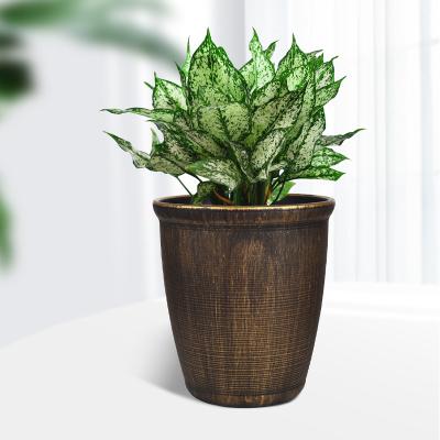 China Amazon Best Selling CLASSIC Flowerpot Color Round Shape Green Plant Decoration Indoor Outdoor Flowerpot For Plants for sale