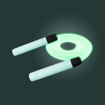 China Sports Wholesale Jump Rope Glowing Light Flashing Fitness Jump Rope Exercise Speed ​​LED Light Adjustable Thin Rope for sale