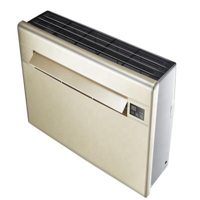 China Hotel CHINA manufacturers processing and manufacturing all-in-one through-wall air conditioner with no outdoor unit type for sale