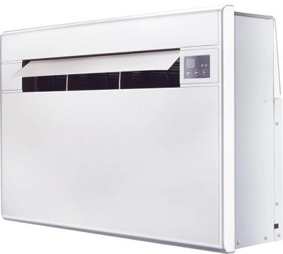 China Without outdoor unit and indoor almost invisible outdoor air conditioner for sale