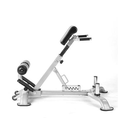 China Bodybuilding Low Cost Professional Manufacturer Back Leg Curl 45 Degree Extension Hyper Commercial Bench for sale