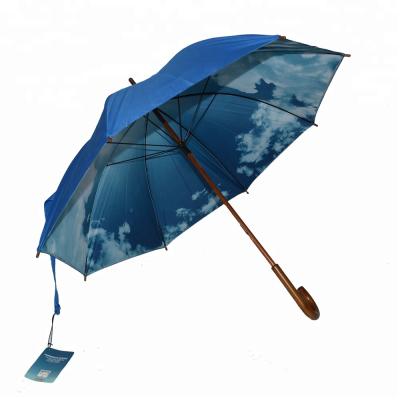 China Traditional art modern spirit fabric promotion handmade ethnic umbrella for sale