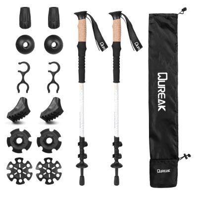 China Durable Outdoor Carbon fiber 100% Foldable Trekking Pole Nordic Walking Stick-Telescopic Hiking Pole with Flip Lock for sale