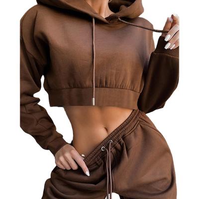 China QUICK DRY 2 Piece Set Sweatshirts Pullover Hoodies And Pants Fits 2021 Autumn Tracksuits Women Sports Equipment Sweatpants Pants Set for sale