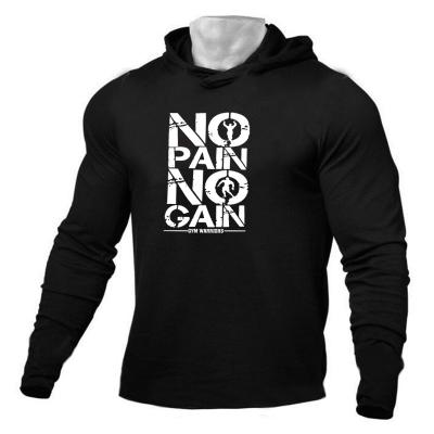 China Running Shirt Gym Bodybuilding Tee Anti-Pilling Men's T-shirt Autumn Slim Fit Hooded Sports Men's T-shirt Long Sleeve Hoodie Tops Fitness T-shirt for sale