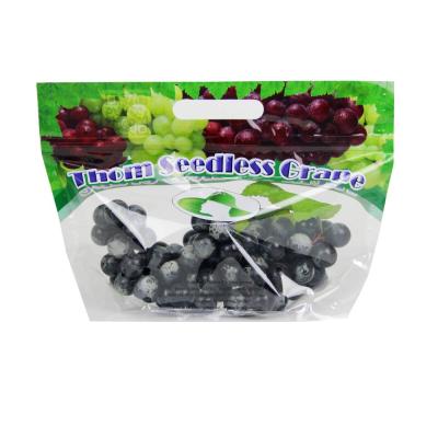 China High Quality Cheap Wholesale Safety Mango Grape Packing Bags, PE Fruit Protection Plastic Bags for sale