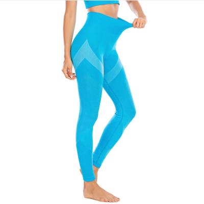 China Fashion Breathable High Waist Breathable Hip Lifting Fitness Sports Women's Yoga Pant Workout Butt Gaiters Crac! crack! for sale