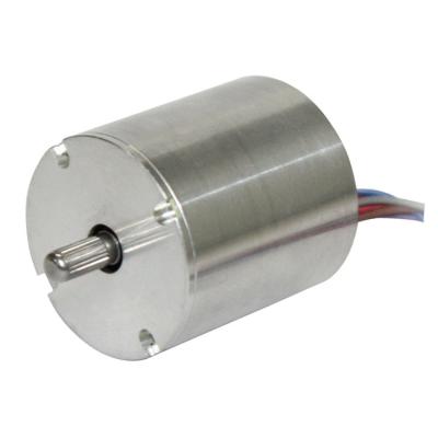 China Chinese Supplier 12v 30000 rpm Motor DC IP20 Manufacturers for sale