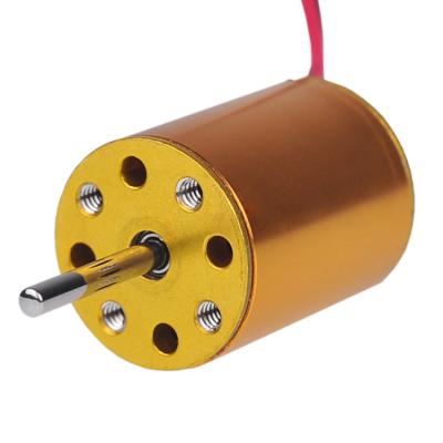 China IP20 3.6V 20000rpm mini high speed rc boat coreless DC brushless motor for sale